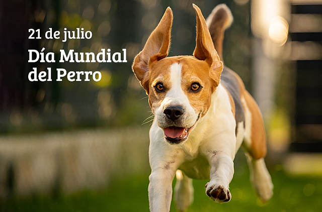 Día Mundial del Perro