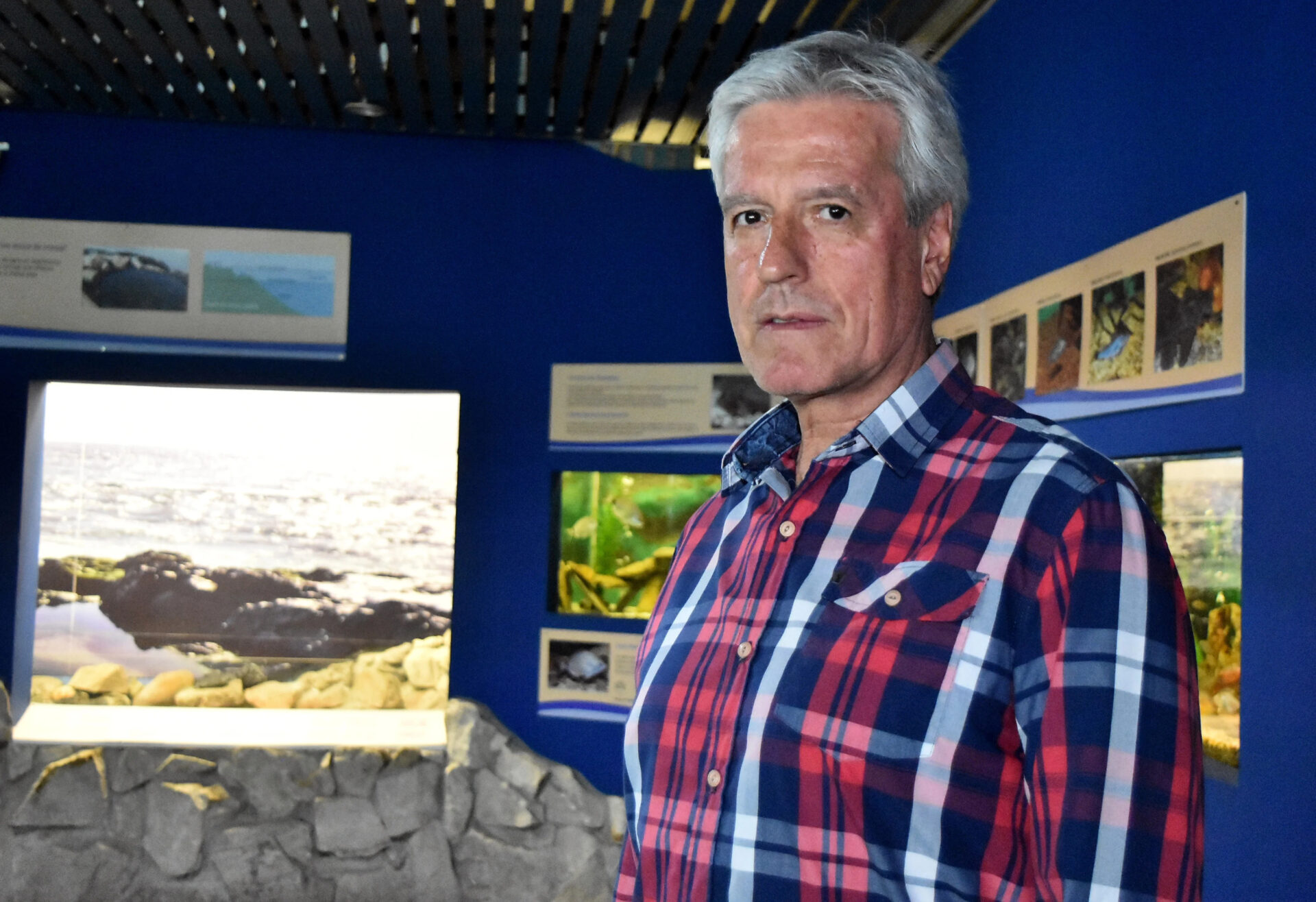 Mar del Plata: Guillermo Montenegro solicitó la dimisión de todo el equipo de la sección de Cultura.