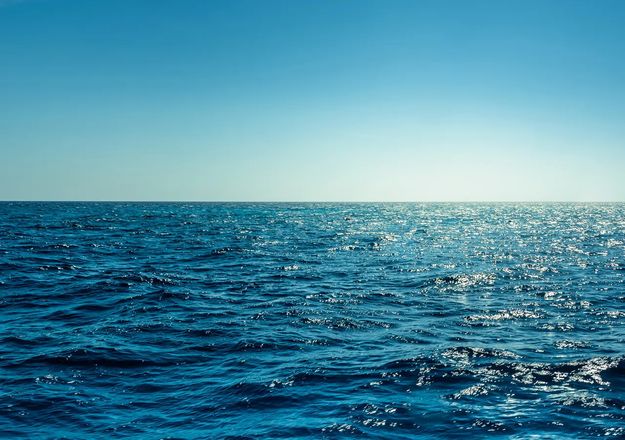 Un científico de la Universidad de Harvard afirma haber recuperado un objeto que proviene de fuera de nuestro sistema solar.