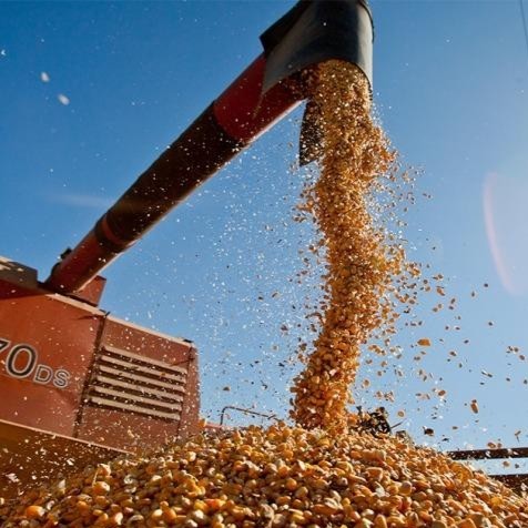 El gobierno ha anunciado el reciente cuadro de tarifas para el transporte de granos y algodón