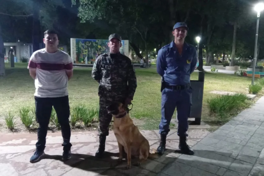 PLAZAS CUSTODIADAS POR EFECTIVOS POLICIALES Y CANES