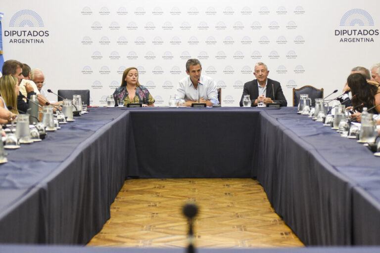 La Ley Ómnibus se someterá a votación en la Cámara de Diputados este miércoles.