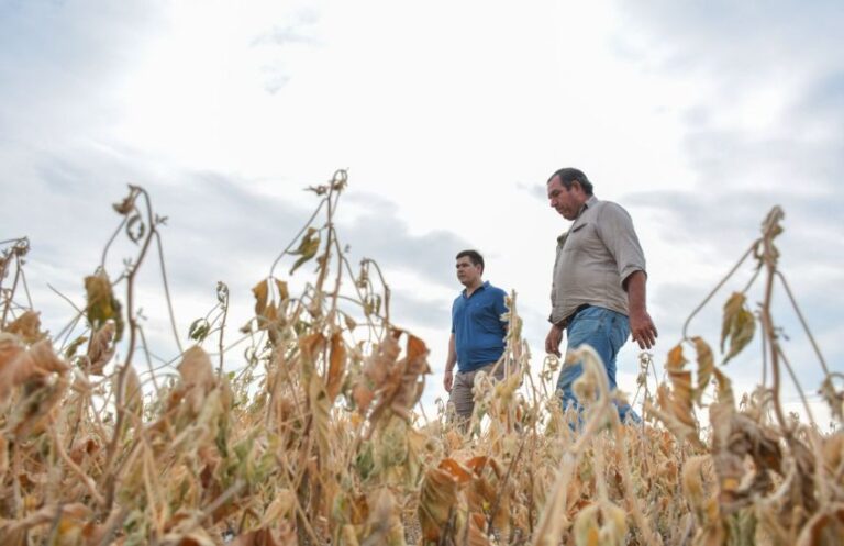 Ministro de Producción y Desarrollo Económico Sostenible: Hernán Halavacs, recorrió por las áreas más afectadas por las altas temperaturas