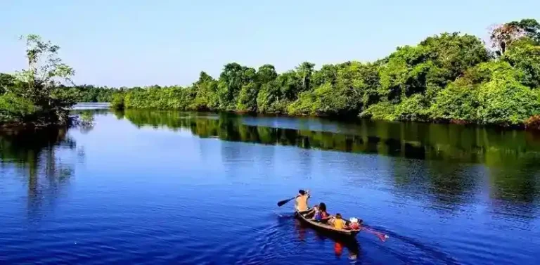 “Misteriosas criaturas” impactan a un navegante en el Amazonas.