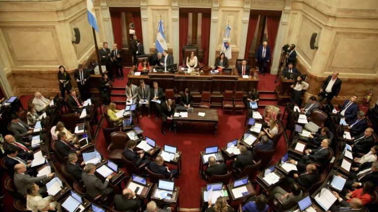 Milei expresó: “En caso de que el DNU sea rechazado, persistiremos con la presentación de otros decretos hasta que las reformas sean llevadas a cabo”.