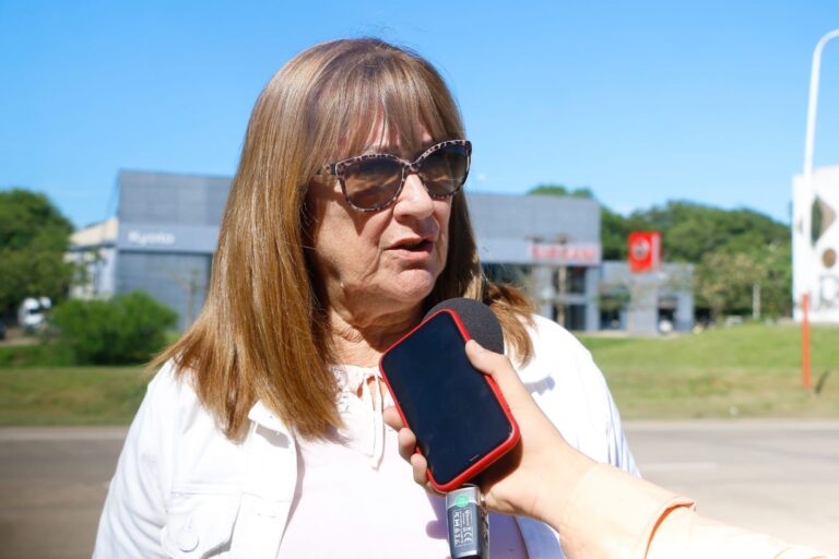Aclare el trabajo: se realizan operaciones de limpieza en provincias y ciudades para combatir la epidemia