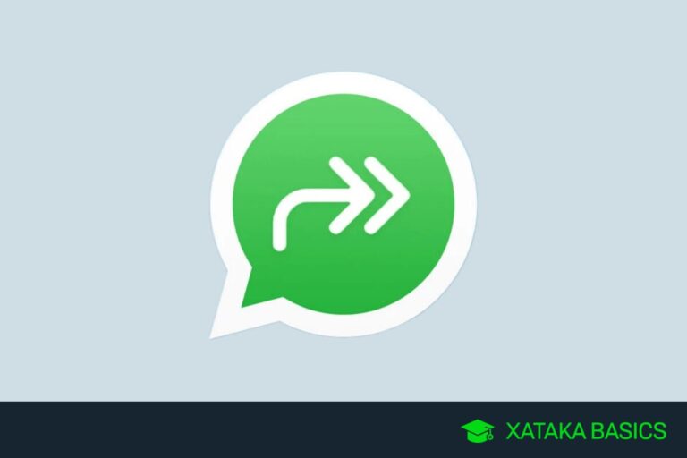 Qué es el icono de la doble flecha de WhatsApp que aparece en algunos chats