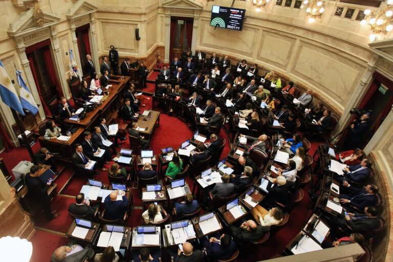 El bloque oficialista del Senado está calculando sus números para asegurar la aprobación de la Ley Ómnibus.