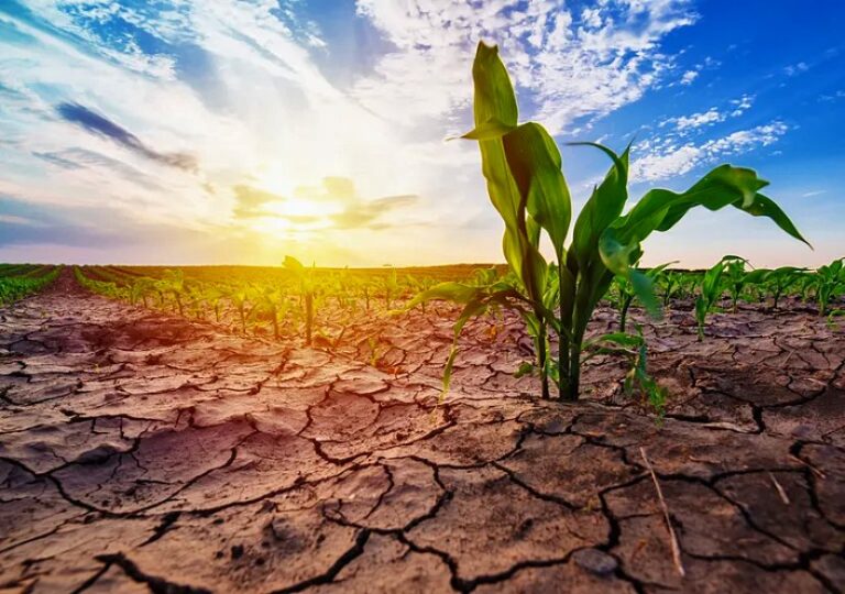 Recomiendan “cuidar el agua” ante la posible llegada de una Niña, cuya intensidad es impredecible