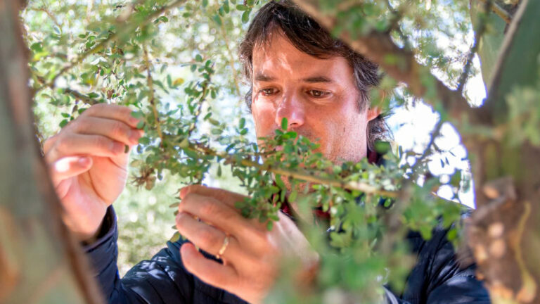 Reconocimiento Internacional para el Científico Argentino Pedro Jaureguiberry por su Estudio sobre la Pérdida de Biodiversidad