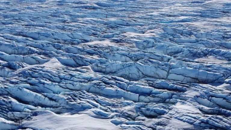 Descubrimiento de Virus Gigantes en el Hielo: Un Posible Aliado contra el Calentamiento Global