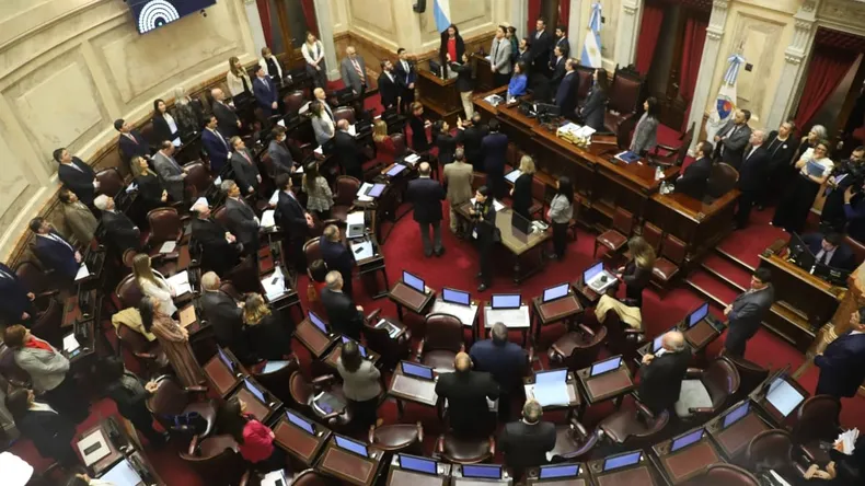 Ley Bases: Los Senadores de la UCR Solicitan a Diputados Aceptar los Cambios Introducidos por el Senado