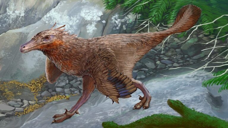 Descubrimiento de un Nuevo Dinosaurio en Argentina: Diuqin lechiguanae