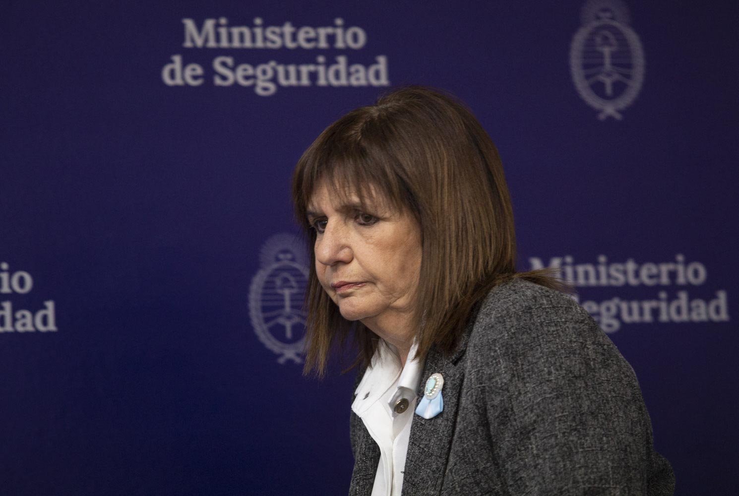 Bullrich lanza advertencia sobre posibles disturbios en marcha contra el veto a la movilidad jubilatoria