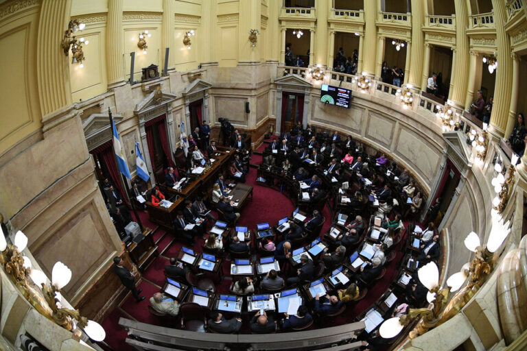 El Senado aprueba el Financiamiento Universitario y rechaza el DNU de la SIDE