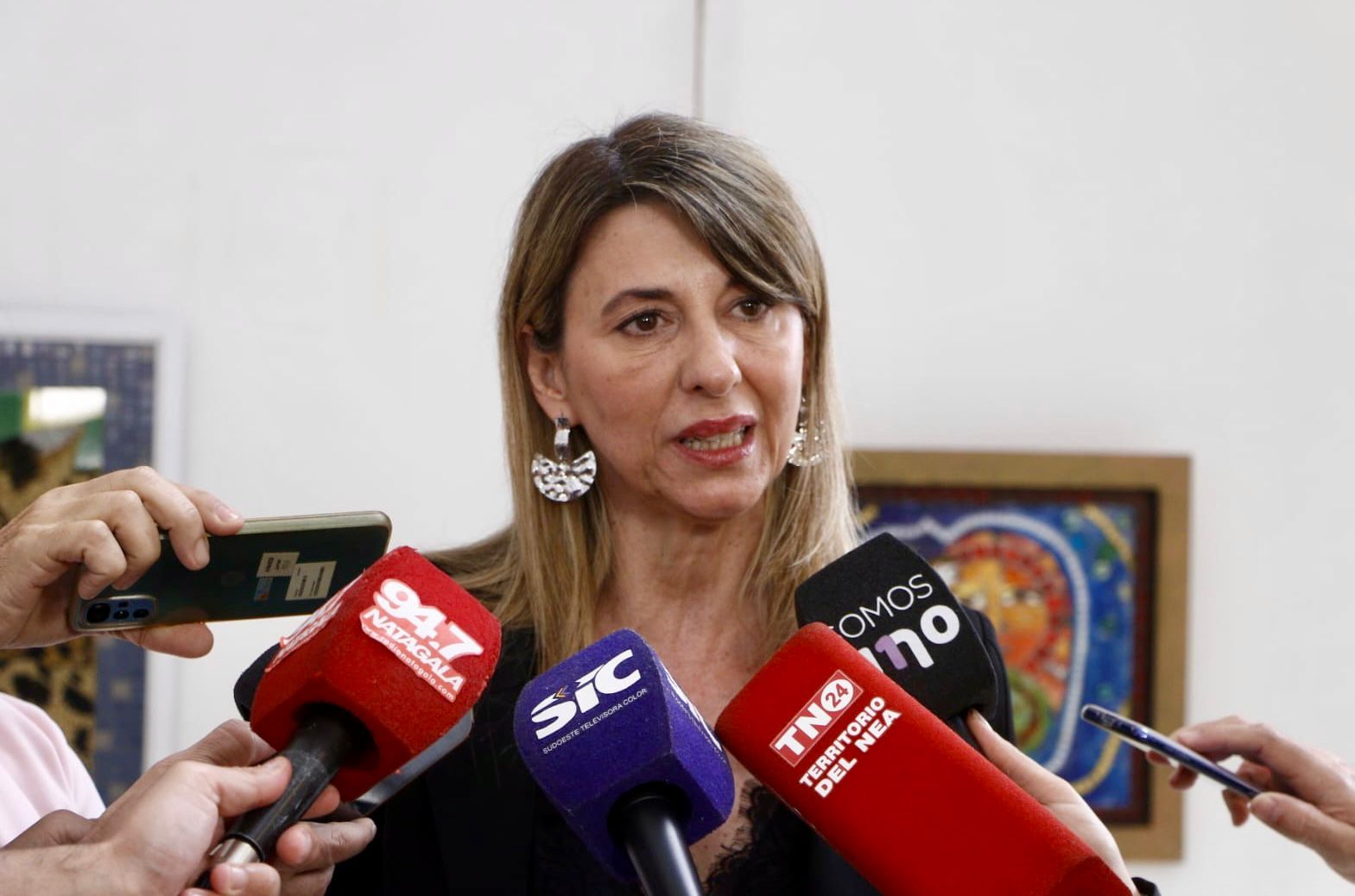 Gobierno del Chaco y UNNE lanzan curso de Administración Financiera para gobiernos locales