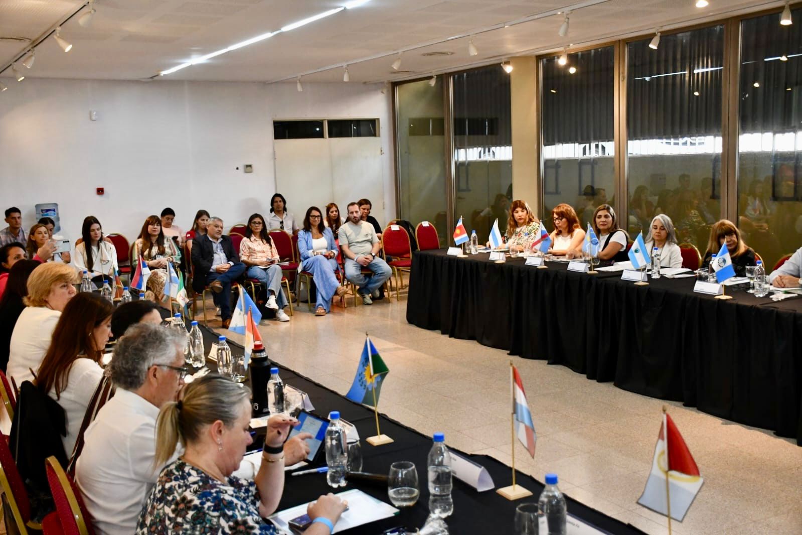 IPRODICH: “NO ESTÁ EN RIESGO LA VIGENCIA DE LOS PASES LIBRES EN EL TRANSPORTE PARA PERSONAS CON DISCAPACIDAD” AFIRMÓ MITOIRE