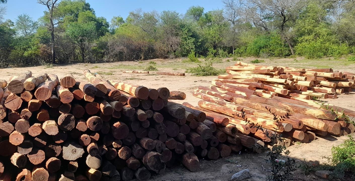 La Dirección de Bosques secuestra 350 postes de quebracho colorado cortados ilegalmente en Reserva Grande