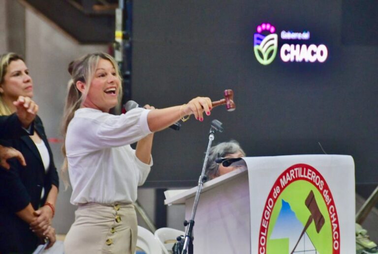 Exitosa segunda subasta de vehículos provinciales en Chaco: recaudación de $236 millones
