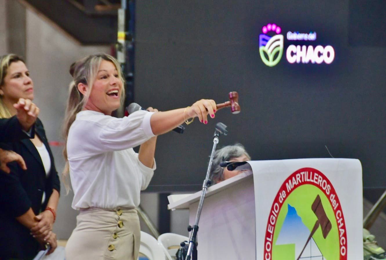 Exitosa segunda subasta de vehículos provinciales en Chaco: recaudación de $236 millones