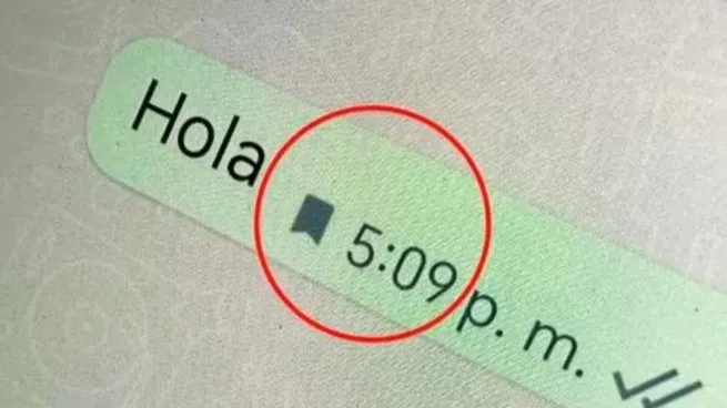 ¿Qué significa el ícono de la bandera en WhatsApp y cómo se utiliza?