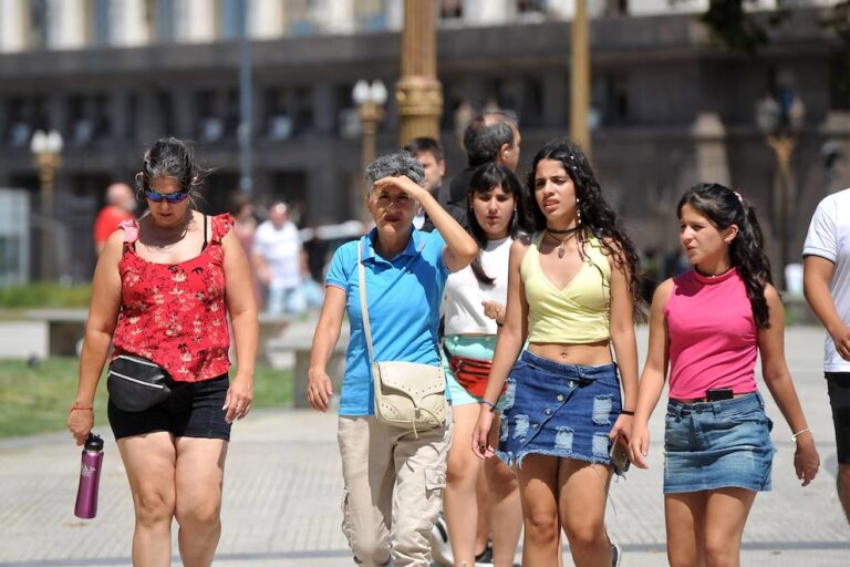 Recomendaciones para la prevención de pequeño escarabajo de las colmenas