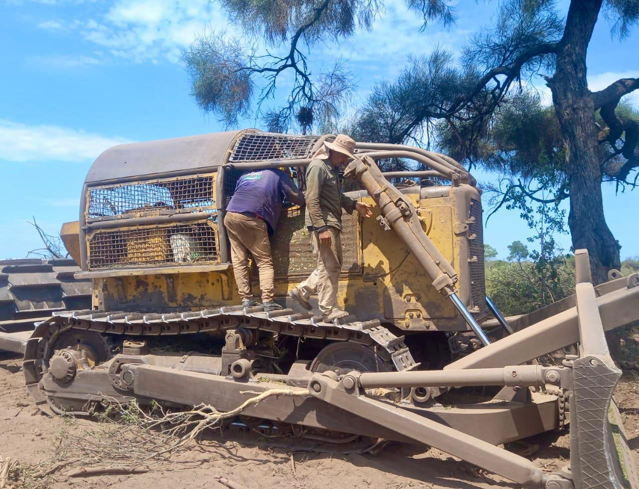 Detienen desmonte ilegal de 300 hectáreas en Tres Isletas