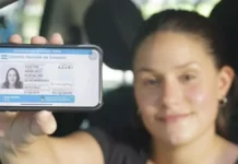 El Gobierno modifica la Ley de Tránsito: cambios en licencias, VTV y peajes