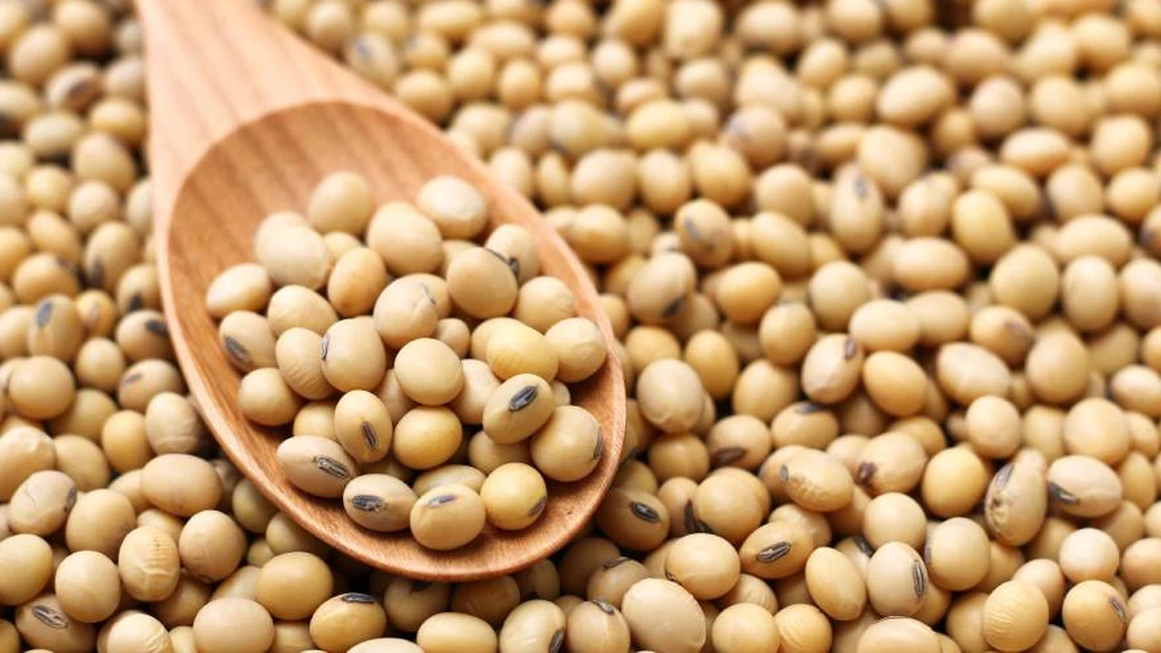 La Decisión de Milei de Bajar Retenciones a la Soja y el Maíz Impacta en los Precios Internacionales de los Granos