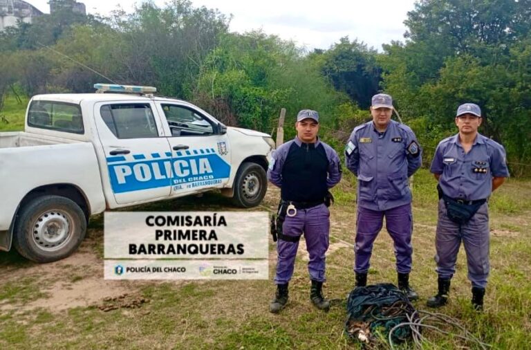 Barranqueras impulsa el consumo local y la sustentabilidad con la feria “Tu Punto Verde”