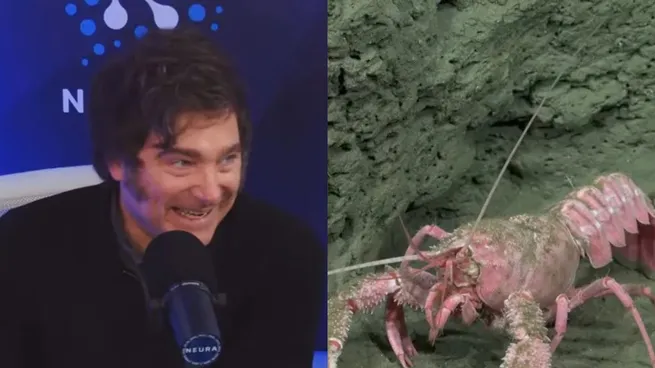 La Batalla del Rating: El CONICET Supera a Javier Milei en el Streaming