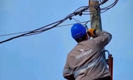 Secheep intensifica la lucha contra el fraude eléctrico: más de 300 conexiones ilegales desmanteladas en enero
