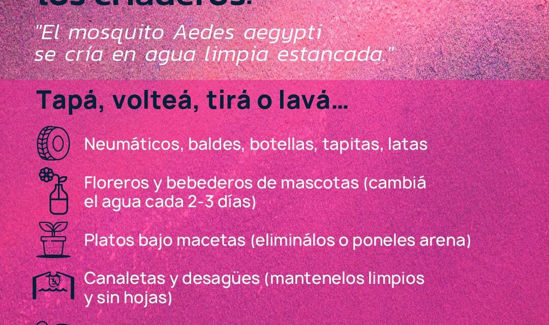 Alerta Dengue: Salud insta a la comunidad chaqueña a extremar la limpieza y eliminación de criaderos
