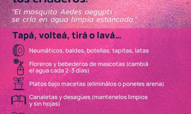 Alerta Dengue: Salud insta a la comunidad chaqueña a extremar la limpieza y eliminación de criaderos