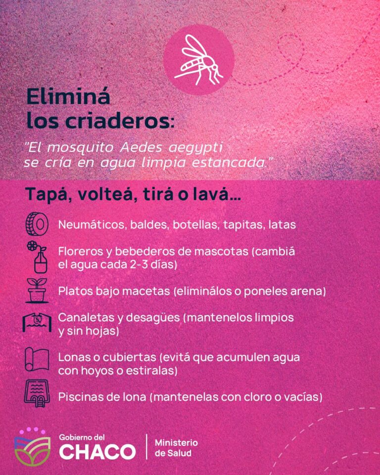 Alerta Dengue: Salud insta a la comunidad chaqueña a extremar la limpieza y eliminación de criaderos