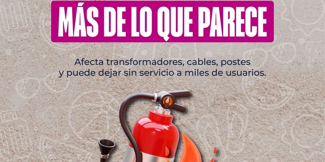 Prevención de incendios: Secheep insta a la responsabilidad ciudadana para resguardar el servicio eléctrico