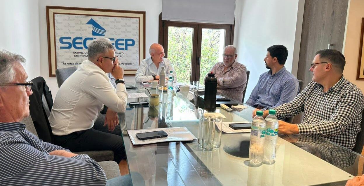 Frente regional del NEA: Chaco, Corrientes y Formosa solicitan a Nación extender el subsidio eléctrico a marzo