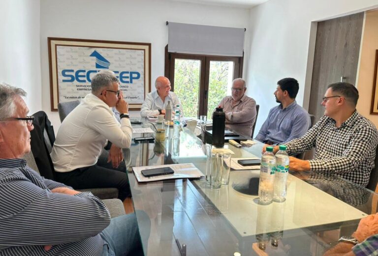 Frente regional del NEA: Chaco, Corrientes y Formosa solicitan a Nación extender el subsidio eléctrico a marzo