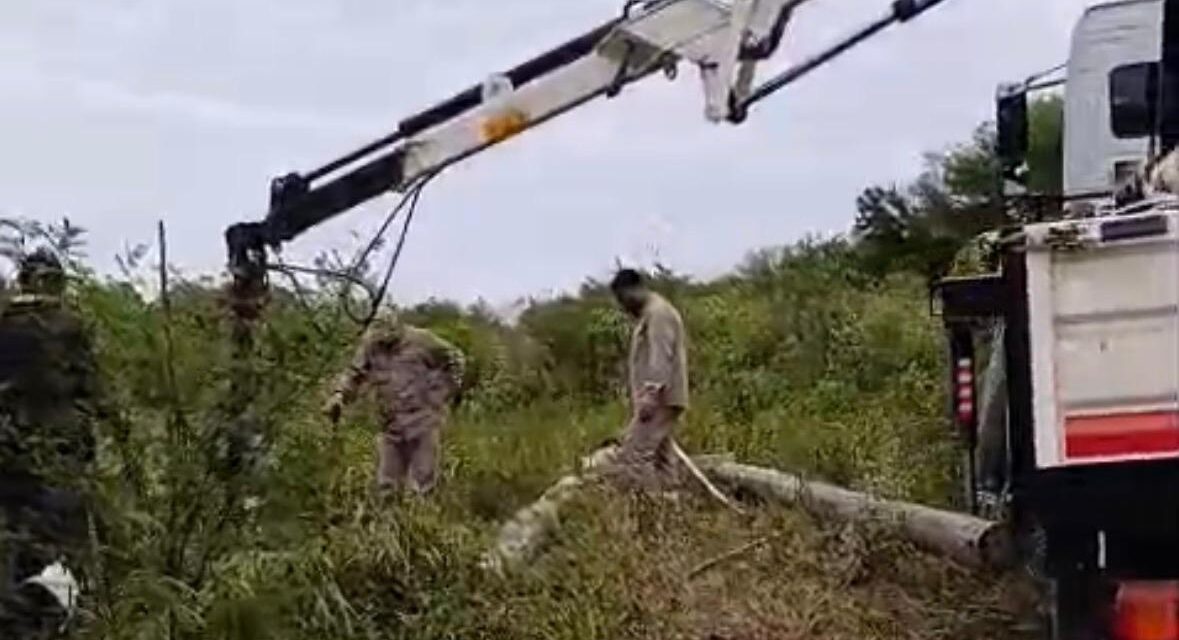 Histórico avance del programa “Luz Rural”: nuevas obras de electrificación transforman parajes en Pampa del Indio