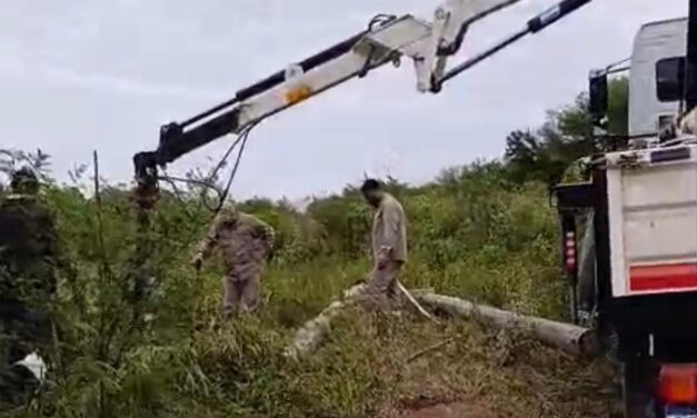 Histórico avance del programa “Luz Rural”: nuevas obras de electrificación transforman parajes en Pampa del Indio
