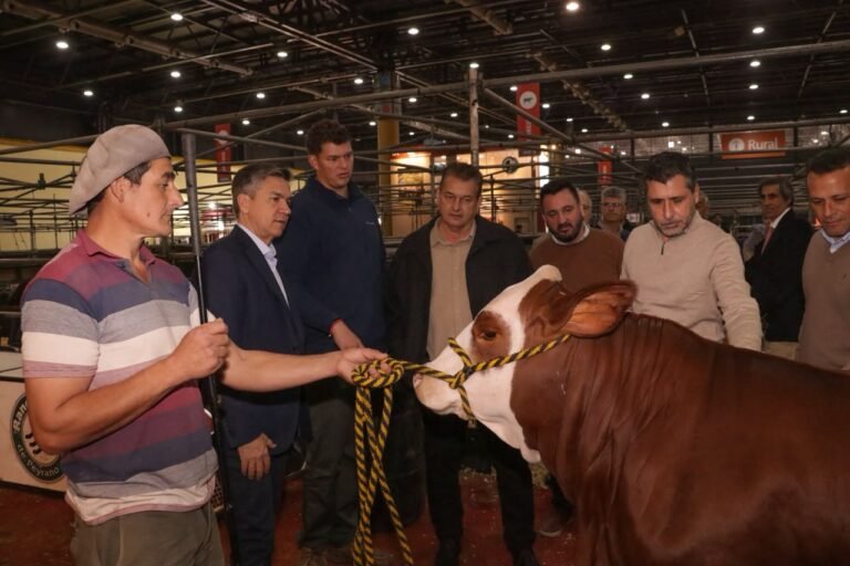 Chaco exhibe su potencial productivo y ganadero en la Expo Rural de Palermo con miras a la exportación