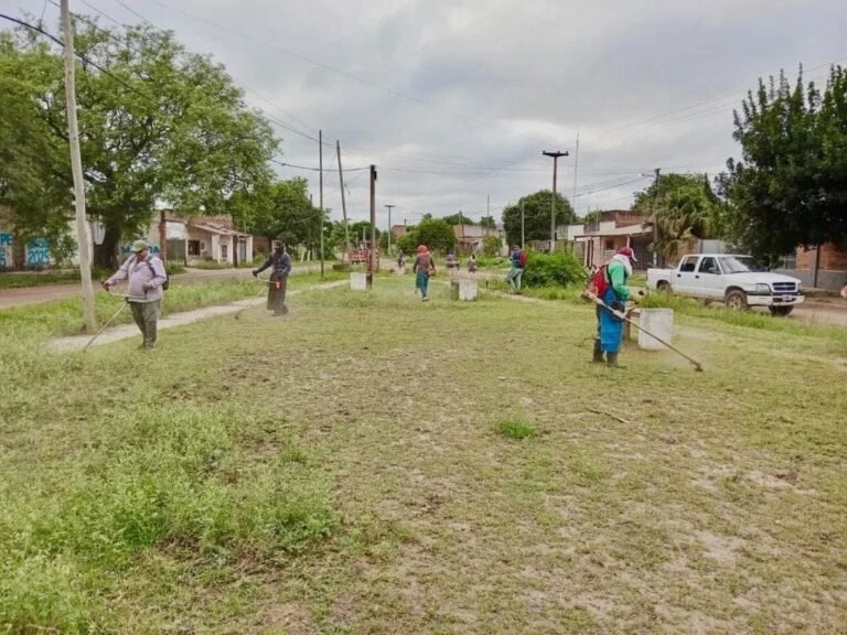 Fontana intensifica los operativos de saneamiento ambiental y desmalezado en espacios públicos