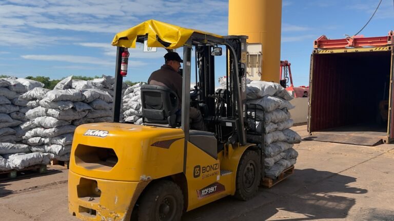 Puerto Barranqueras afianza su perfil exportador con un nuevo envío de carbón vegetal a Estados Unidos