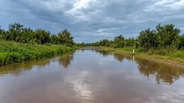 Alerta roja en la región por la crecida acelerada del río Paraná: prevén marcas de hasta 7,50 metros